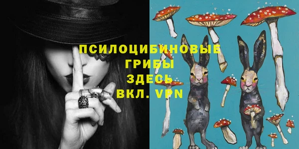 не бодяженный Арсеньев