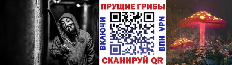 Купить закладки  Тутаев  Псилоцибиновые грибы Cubensis 