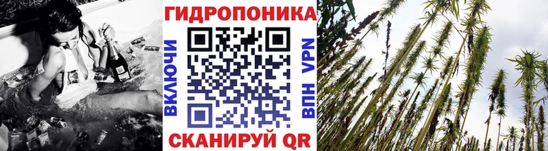 Купить  Тутаев  Бошки Шишки планчик 